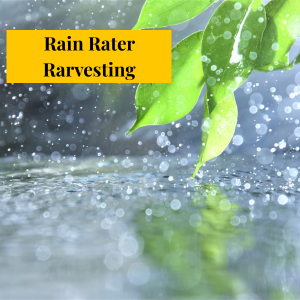 rain water harvesting
